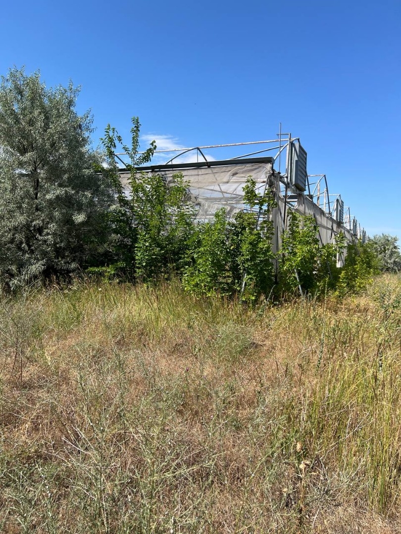 продажа предприятия номер C-174110 в Роксоланах, фото номер 13